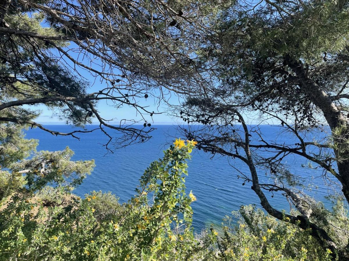 Appartement mignon calme douillet ascenseur clim étage élevé proche parking et toutes commodités au coeur du Toulon historique Esterno foto